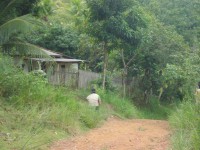 /album/galeria-de-fotos/mila-1571-jpg/